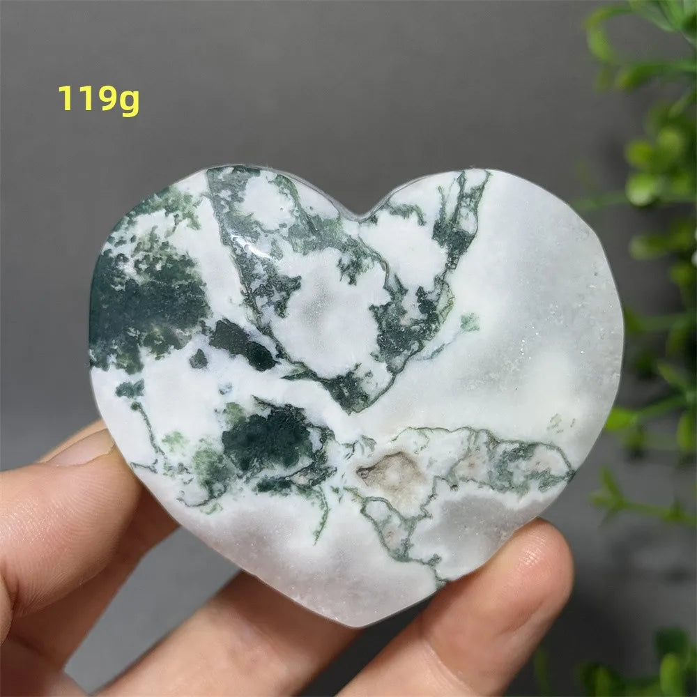 Green Aquatic Moss Agate-ToShay.org