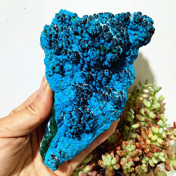 Blue Chrysocolla Raw Rock-ToShay.org