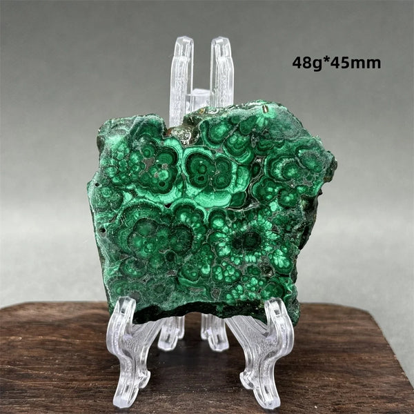 Green Malachite Raw Slice-ToShay.org