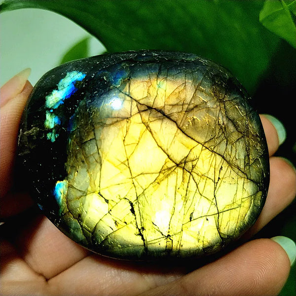 Blue Labradorite Palm Stones-ToShay.org