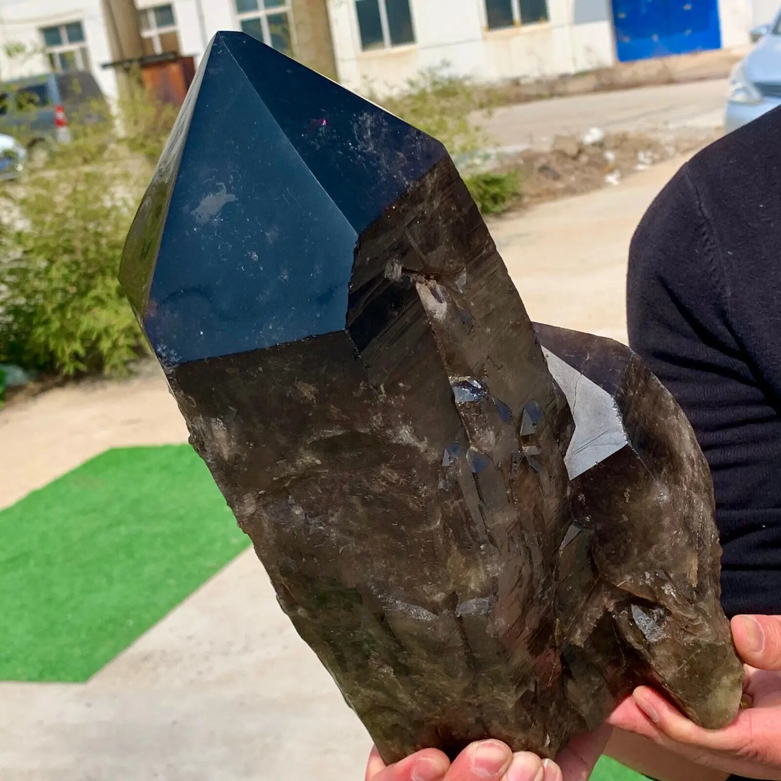 Black Backbone Crystal Cluster-ToShay.org