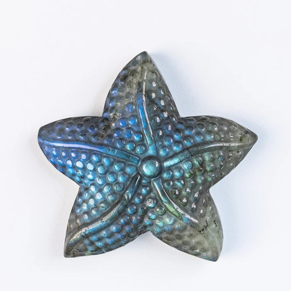 Blue Flash Labradorite Starfish-ToShay.org