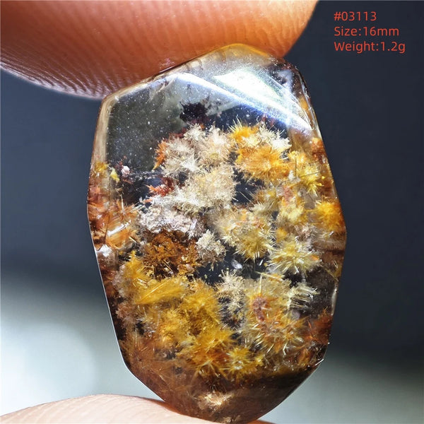 Gold Rutilated Quartz-ToShay.org