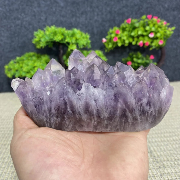 Purple Amethyst Crystal Cluster-ToShay.org