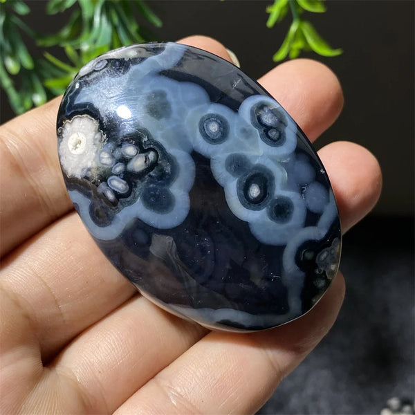 Black Flower Agate-ToShay.org