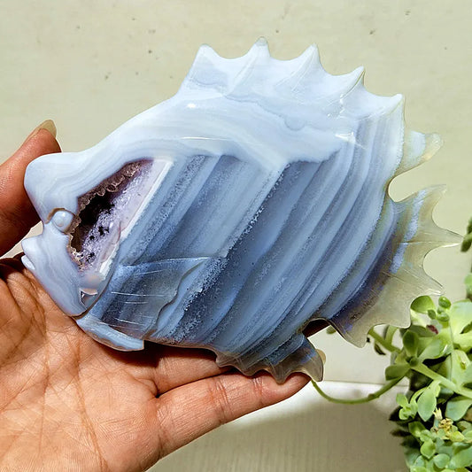 Grey Agate Druzy Fish-ToShay.org