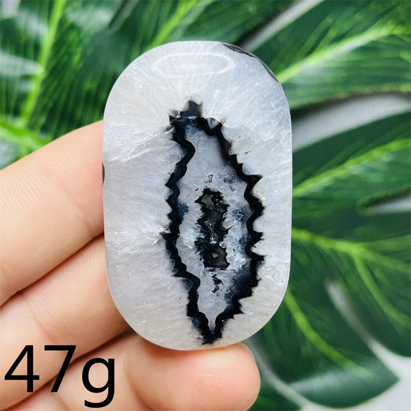 Black White Agate Palm Stone-ToShay.org
