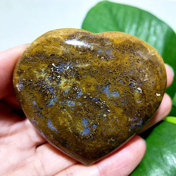 Ocean Jasper Hearts-ToShay.org