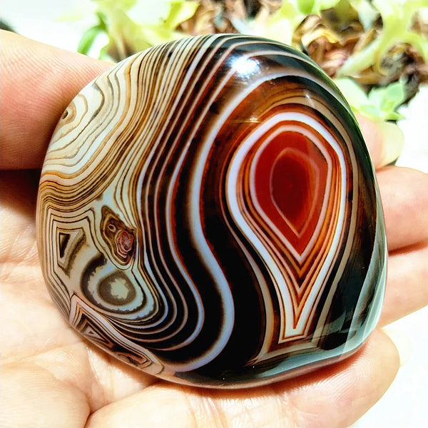 Red Lace Sardonyx Agate-ToShay.org