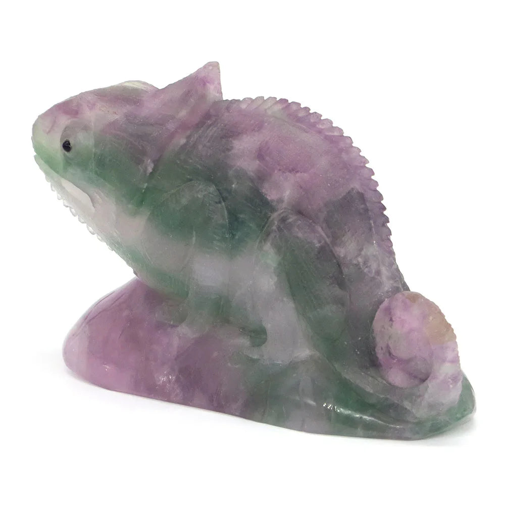 Rainbow Fluorite Lizard-ToShay.org