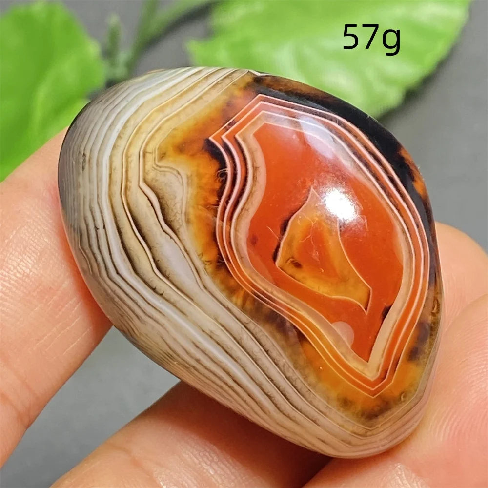 Orange Silk Lace Agate-ToShay.org