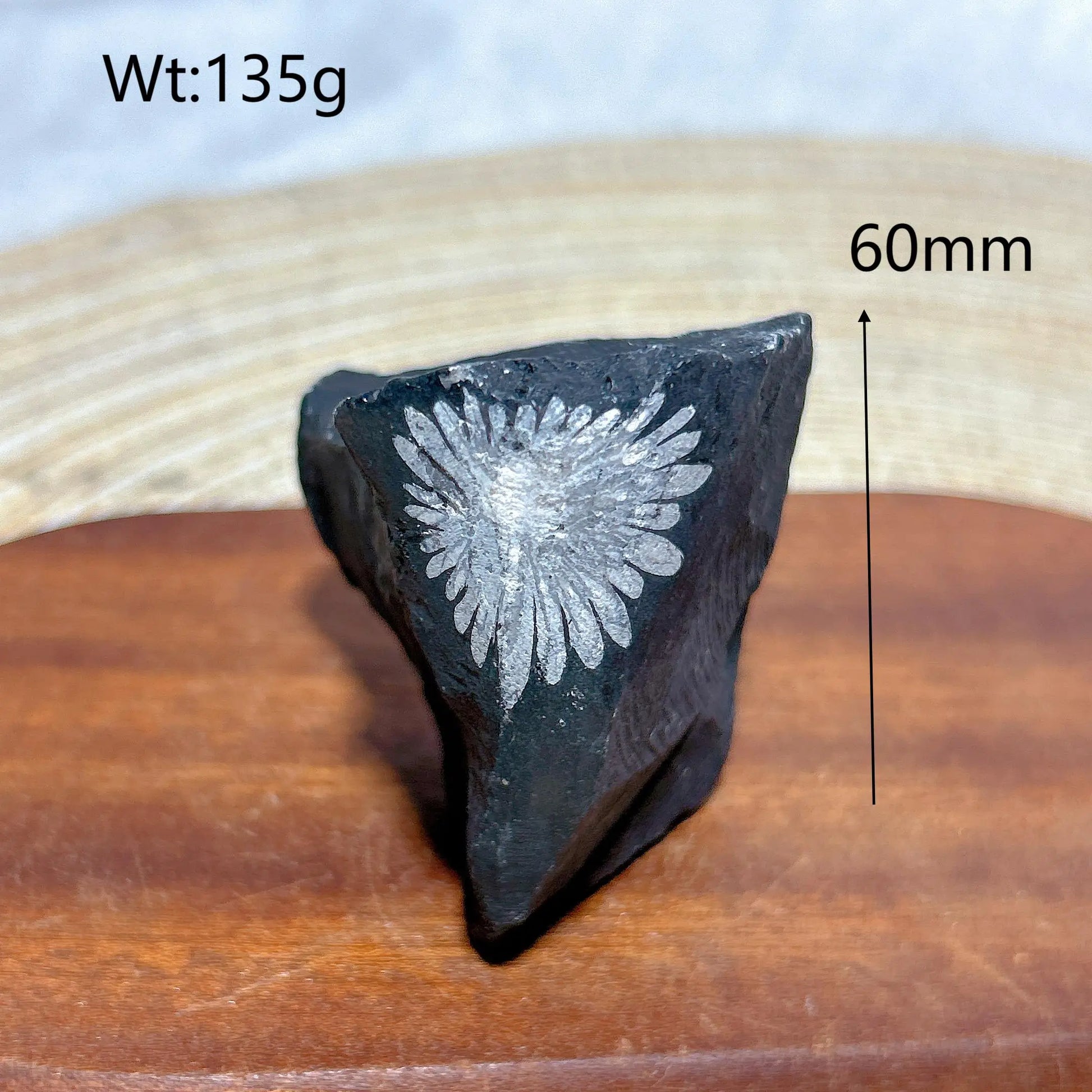 Black Chrysanthemum Raw Stone-ToShay.org