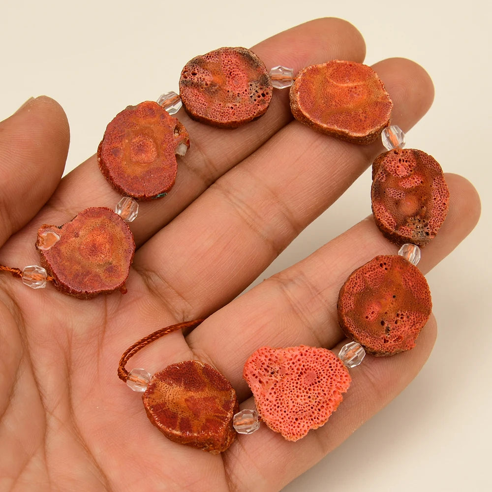 Red Orange Coral Slice-ToShay.org