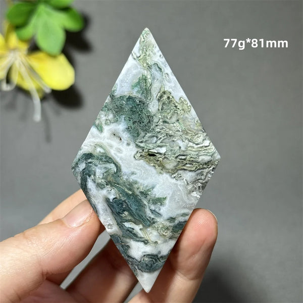 Green Aquatic Plant Agate-ToShay.org