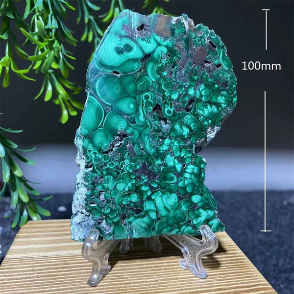 Green Malachite Slice-ToShay.org