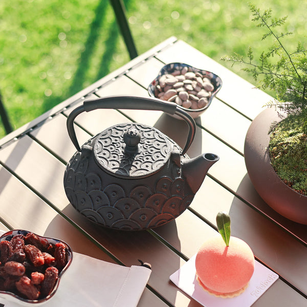Cast Iron Tea Kettle-ToShay.org