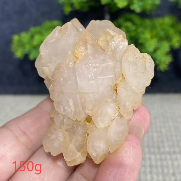White Quartz Crystal Cluster-ToShay.org