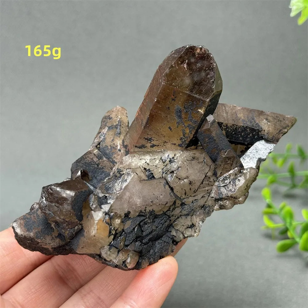 Black Quartz Crystal-ToShay.org