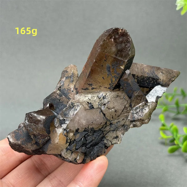Black Quartz Crystal-ToShay.org