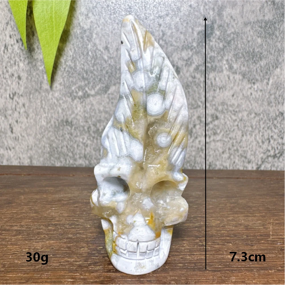 Ocean Jasper Feather Skull-ToShay.org