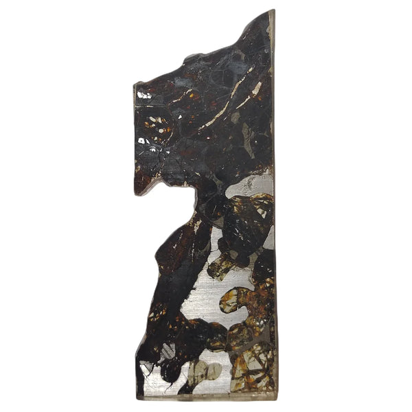 Olive Meteorite Slice-ToShay.org