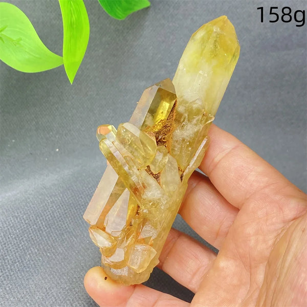 Yellow Black Smoky Quartz-ToShay.org
