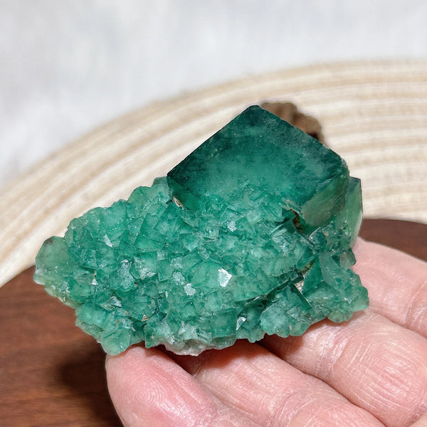 Green Fluorite Raw Stone-ToShay.org