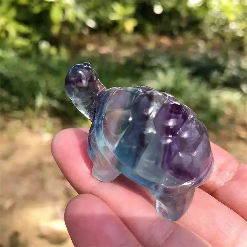 Rainbow Fluorite Turtle-ToShay.org