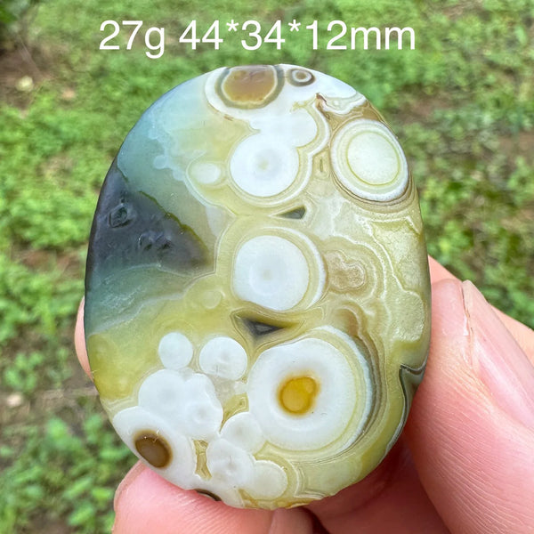 Brown Gobi Eye Agate-ToShay.org