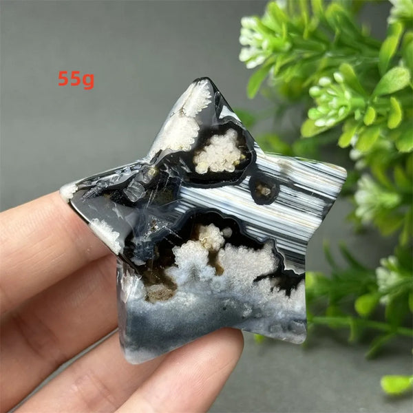Black Cherry Blossom Agate-ToShay.org