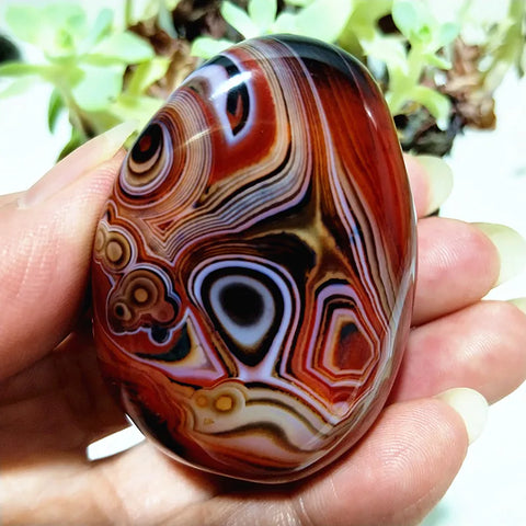 Red Lace Sardonyx Agate-ToShay.org