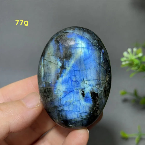 Blue Labrador Palm Stone-ToShay.org