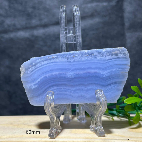 Blue Lace Agate Slice-ToShay.org