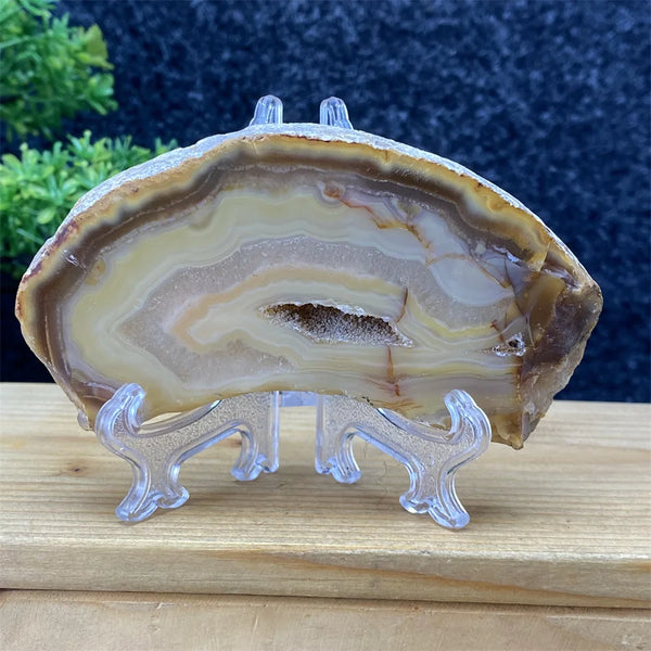 White Agate Geode Slices-ToShay.org