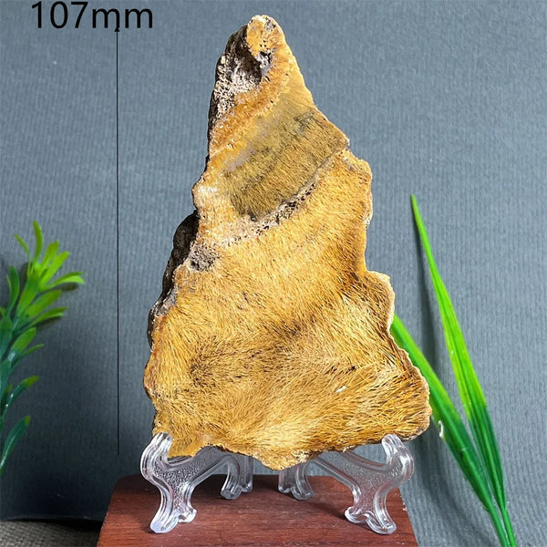 Yellow Hair Agate Slab-ToShay.org