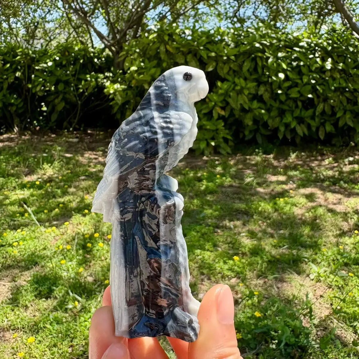Mixed Quartz Parrots-ToShay.org