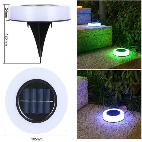 Paw Print Lights-ToShay.org