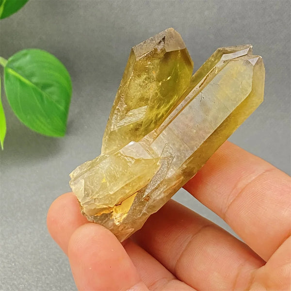 Yellow Black Smoky Quartz-ToShay.org