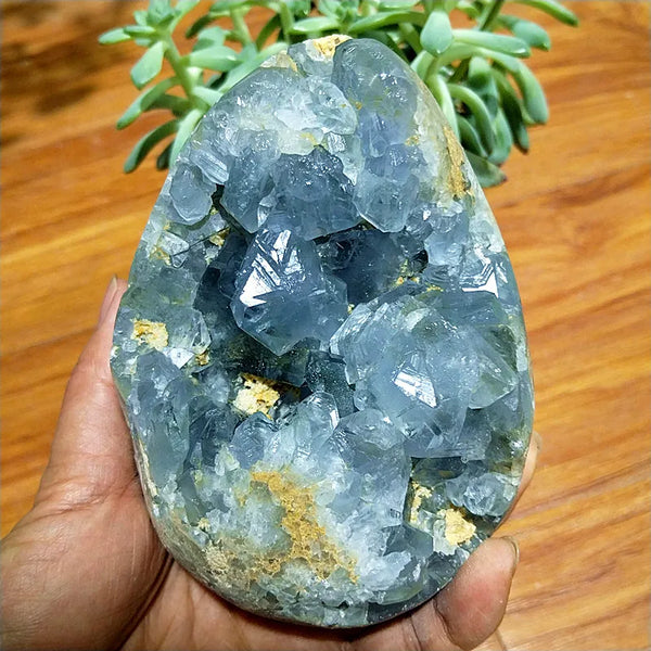 Blue Celestite Geode Crystal-ToShay.org
