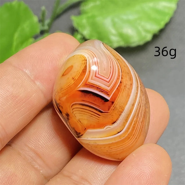 Orange Silk Lace Agate-ToShay.org
