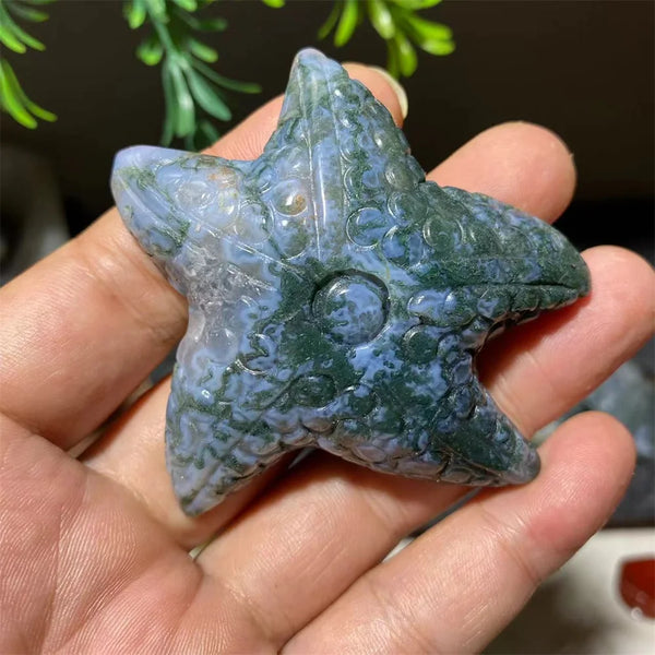 Green Moss Agate Starfish-ToShay.org