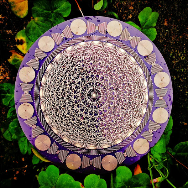 Circuit Board Polarizing Disk-ToShay.org