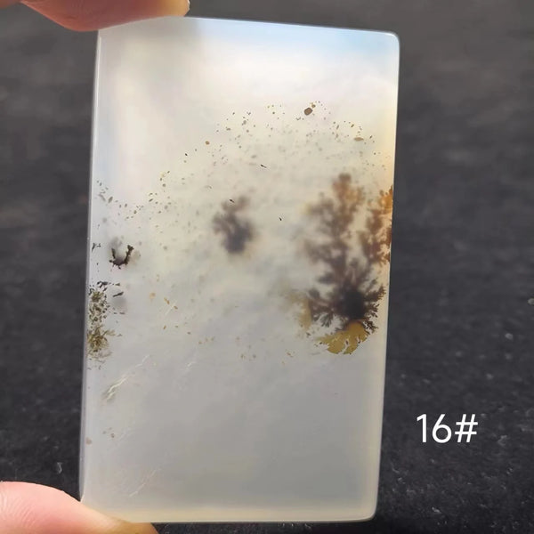 White Onyx Ocean Chalcedony-ToShay.org