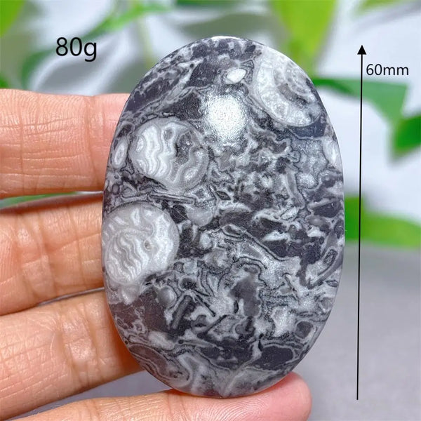 Black White Shellstone-ToShay.org
