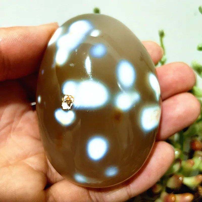 Mixed Lace Sardonyx Agate-ToShay.org