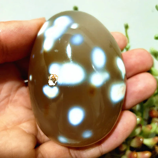 Mixed Lace Sardonyx Agate-ToShay.org
