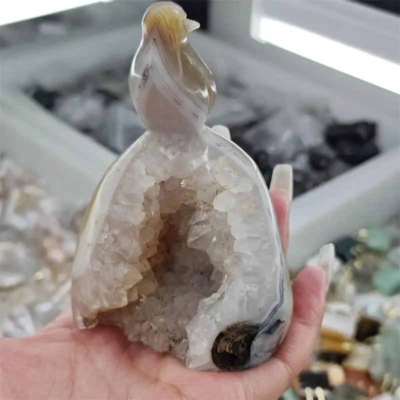 Yellow Agate Geode Bird-ToShay.org