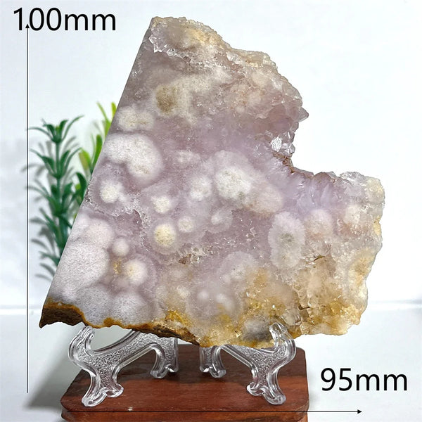 Pink Amethyst Flower Agate-ToShay.org