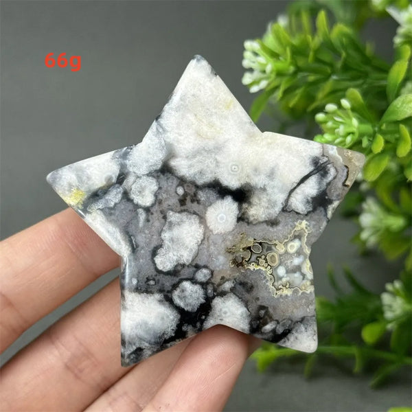 Black Cherry Blossom Agate-ToShay.org