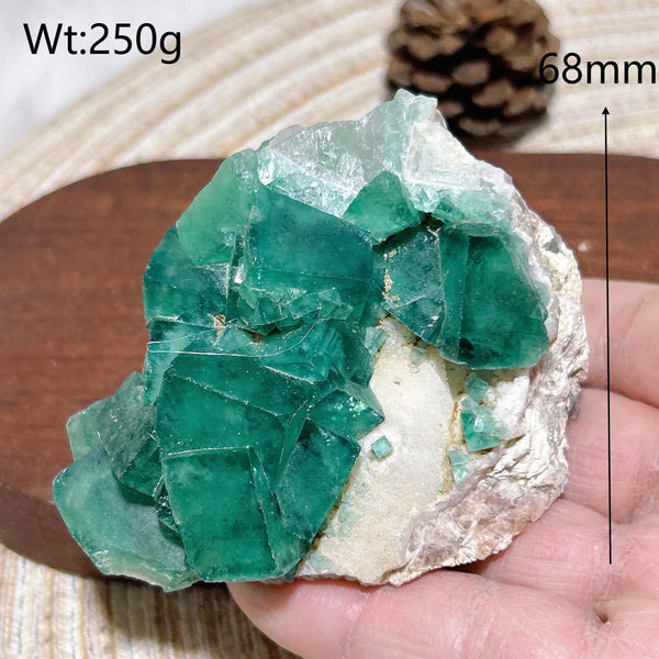 Green Fluorite Raw Stone-ToShay.org